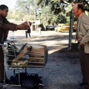 Radio - galeria zdjęć - filmweb