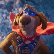 Charlie the Wonderdog - galeria zdjęć - filmweb