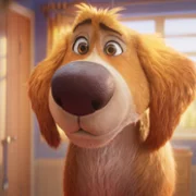Charlie the Wonderdog - galeria zdjęć - filmweb