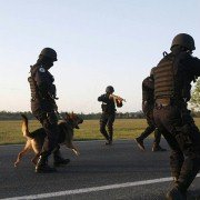 Jak chcę gwizdać, to gwiżdżę - galeria zdjęć - filmweb