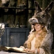 Księżniczka w oślej skórze - galeria zdjęć - filmweb
