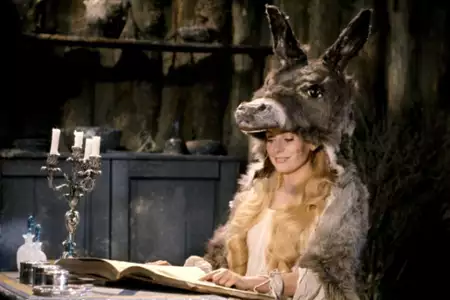 Księżniczka w oślej skórze - galeria zdjęć - filmweb