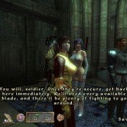 The Elder Scrolls IV: Oblivion - galeria zdjęć - filmweb