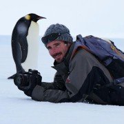 L'empereur - galeria zdjęć - filmweb