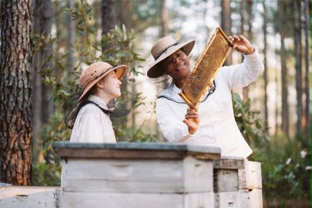 Sekretne życie pszczół - galeria zdjęć - filmweb