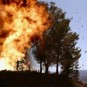 Fire Twister - galeria zdjęć - filmweb