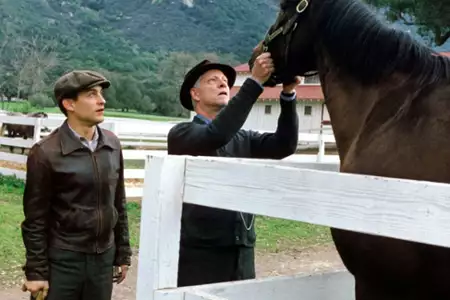 Niepokonany Seabiscuit - galeria zdjęć - filmweb