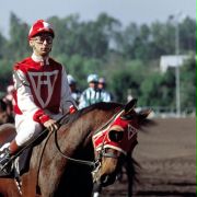 Niepokonany Seabiscuit - galeria zdjęć - filmweb