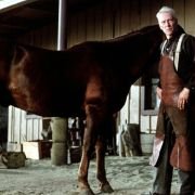 Niepokonany Seabiscuit - galeria zdjęć - filmweb