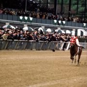 Seabiscuit - galeria zdjęć - filmweb