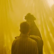 Triumf serca - galeria zdjęć - filmweb