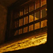 Triumf serca - galeria zdjęć - filmweb
