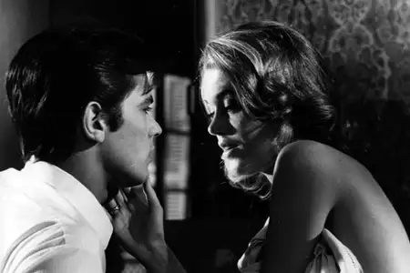 Koty - galeria zdjęć - filmweb