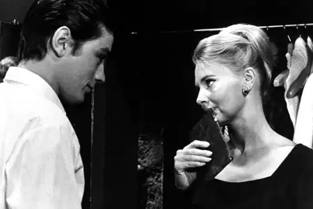 Koty - galeria zdjęć - filmweb