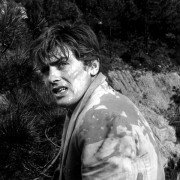 Les Félins - galeria zdjęć - filmweb