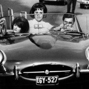 Les Félins - galeria zdjęć - filmweb