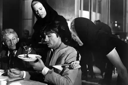 Koty - galeria zdjęć - filmweb