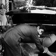 Les Félins - galeria zdjęć - filmweb