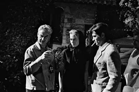Koty - galeria zdjęć - filmweb