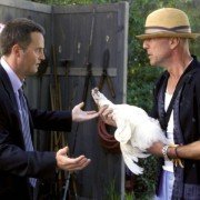 The Whole Ten Yards - galeria zdjęć - filmweb