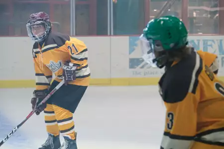Potężne Kaczory: Sezon na zmiany - galeria zdjęć - filmweb