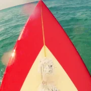 The ABCs of Death - galeria zdjęć - filmweb