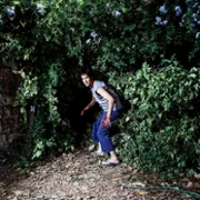 The ABCs of Death - galeria zdjęć - filmweb