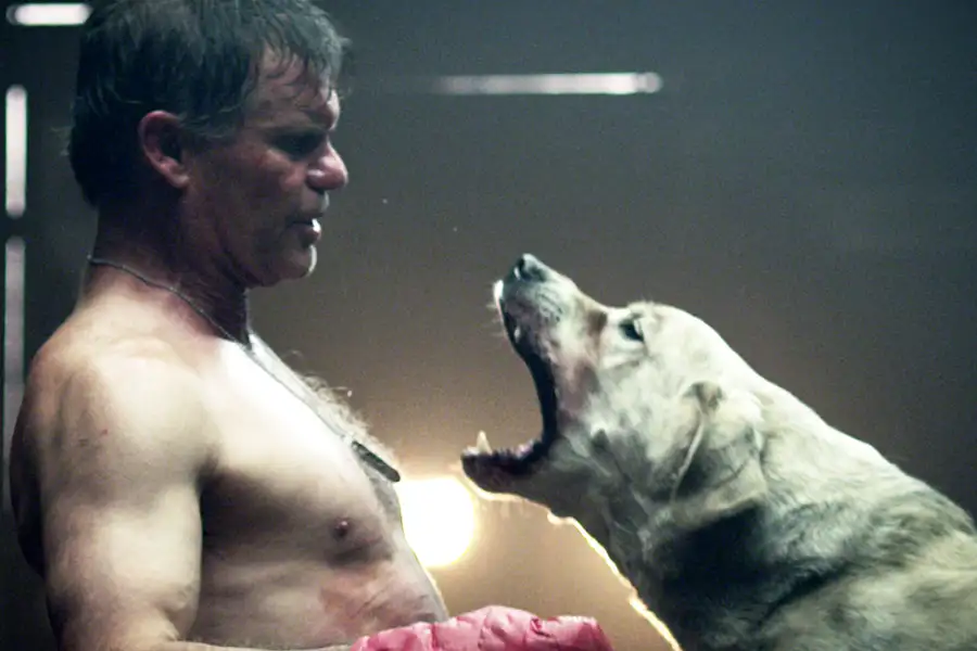 The ABCs of Death - galeria zdjęć - filmweb