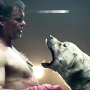 The ABCs of Death - galeria zdjęć - filmweb