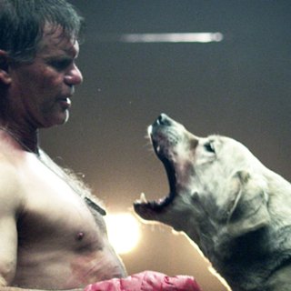 Wojownik &quot;D is for Dogfight&quot;