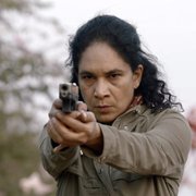Afsos - galeria zdjęć - filmweb