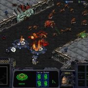 StarCraft - galeria zdjęć - filmweb