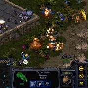 StarCraft - galeria zdjęć - filmweb