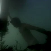Le lac - galeria zdjęć - filmweb