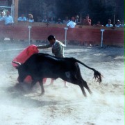 Matador