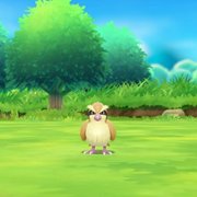 Pokémon: Let's Go, Eevee! - galeria zdjęć - filmweb