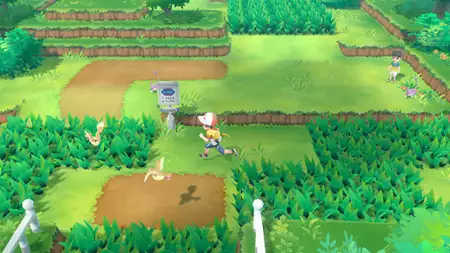 Pokémon: Let's Go, Eevee! - galeria zdjęć - filmweb