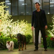 Show Dogs - galeria zdjęć - filmweb