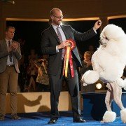 Show Dogs - galeria zdjęć - filmweb