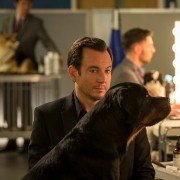 Show Dogs - galeria zdjęć - filmweb