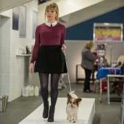 Show Dogs - galeria zdjęć - filmweb