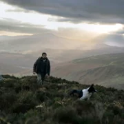Bring Them Down - galeria zdjęć - filmweb