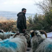 Bring Them Down - galeria zdjęć - filmweb