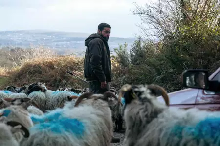 Bring Them Down - galeria zdjęć - filmweb