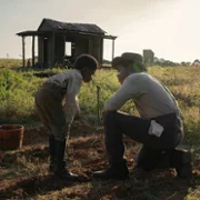 Lekcja gry na pianinie - galeria zdjęć - filmweb