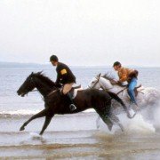 Virginia - galeria zdjęć - filmweb