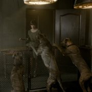 Safe Inside - galeria zdjęć - filmweb