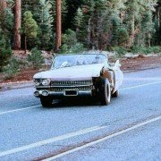 Pink Cadillac - galeria zdjęć - filmweb