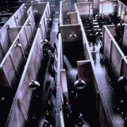 Pink Floyd: The Wall - galeria zdjęć - filmweb