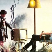 Pink Floyd: The Wall - galeria zdjęć - filmweb